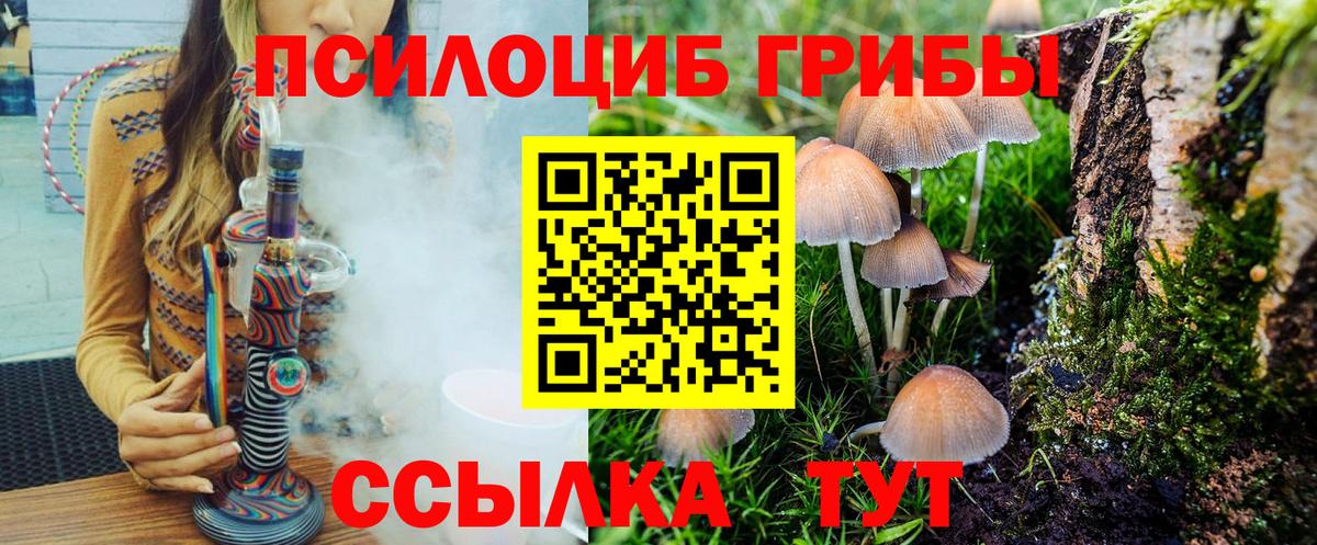 Скопин  Псилоцибиновые грибы мицелий  Вход с VPN 